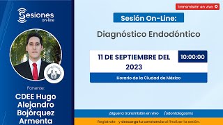 Sesiones OnLine Diagnóstico Endodóntico [upl. by Lonnie]