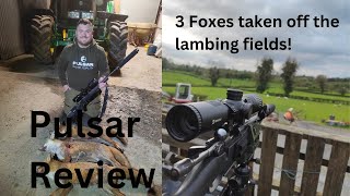 Pulsar review amp 3 foxes taken off the lambing fields [upl. by Iarahs]