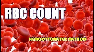 RBC count  Red blood cells estimation  Hemocytometer  RBCcount practical rbccount hemocytometer [upl. by Paige]