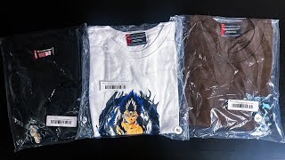 Hypland Haul [upl. by Oiziruam]