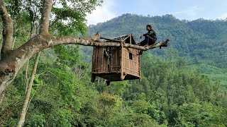 Build shelters on high trees to avoid wild animals experience the wild life in the forest alone [upl. by Shulem203]