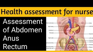 Assessment of Abdomen Rectum Anus Chapter6 part3 HA 3rd semester kmu slides in pashto drnajeeb [upl. by Milda]