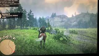 Rdr2 Horseman 10 Challenge Hungarian Halfbred Spawn Location 100 [upl. by Ardnaet753]