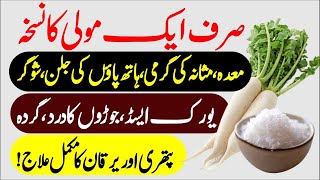 Radish Benefits Moli K Fayde For Uric Acid Kidney Weight Loss And Diabetes Treatment Urdu Hindi [upl. by Enairda135]