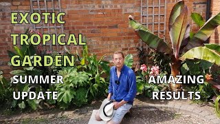 Exotic Tropical Garden Tour Banana Plants canna tetrapanax ginger crinum colocasia [upl. by Halonna42]