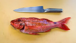 Filleting Goatfish for Sashimi and the BBQ [upl. by Entwistle]