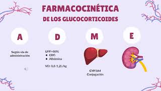 Clase Farmacología de los glucocorticoides  turno lunes 2023 [upl. by Akemot]