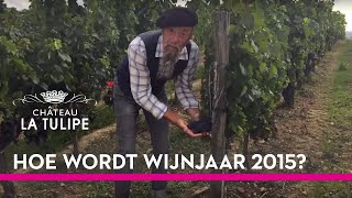 Hoe wordt wijnjaar 2015 [upl. by Ardnas]