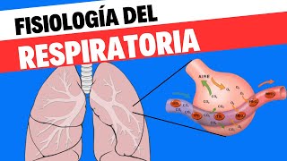 Fisiología respiratoria [upl. by Narad]