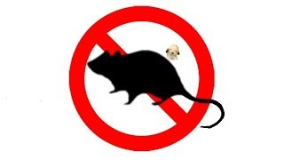 ▶️ Mouse amp Rat Ultra Sonic Deterrent Mice Ultrasonic Repellent 12 Hours 🌏 [upl. by Enined]