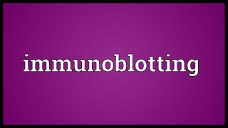 Immunoblotting Meaning [upl. by Lexy]