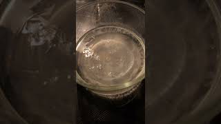 ￼￼ recrystallization time lapse ￼ [upl. by Somar]