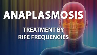 Anaplasmosis  RIFE Frequencies Treatment  Energy amp Quantum Medicine with Bioresonance [upl. by Sergius534]