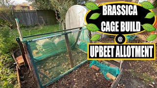 NEW BRASSICA CAGE FOR 2024 224 ON 11 November 2023 [upl. by Attegroeg495]