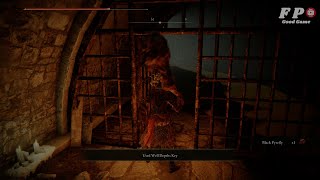 How to Find Well Depths Key Location amp Use Belurat Tower Settlement Sewer in Elden Ring DLC [upl. by Verine887]