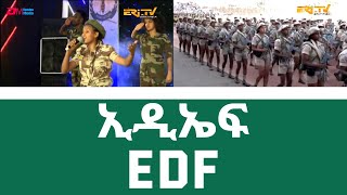 ኢዲኤፍ  ሶልያና ሙልጌታ  EDF by Solyana Mulgeta  Eritrean Music  ERiTV [upl. by Lotz]