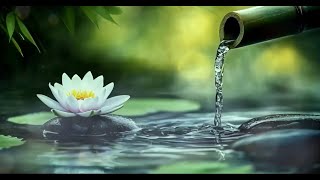 Bamboo Water Fountain  Healing Piano Music  Relaxing Music Sleep Music Spa Music Meditation [upl. by Odrarej83]