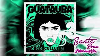 Cosculluela  Guatauba DJ Santa Rosa extended mix [upl. by Comras378]