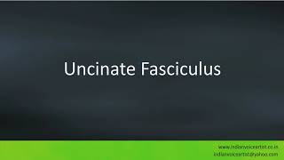 Pronunciation of the words quotUncinate Fasciculusquot [upl. by Erlinna]