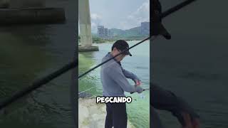 ¡Pesca Urbana Pescador en los Pilares del Puente 🎣🌉 shorts [upl. by Mcintosh934]