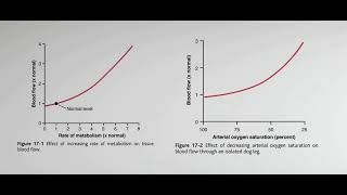 Blood Flow Autoregulation Metabolic and Myogenic Control of blood flow griphsacademy 2024 [upl. by Merci]