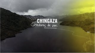 Especies I Chingaza Corredores de paz [upl. by Hulton]