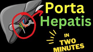 Porta Hepatis  IN TWO MINUTES [upl. by Blau71]