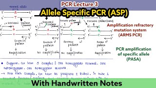 Allele Specific PCR ASPCR  Amplification Refractory Mutation System ARMS  Genotyping PCR [upl. by December]