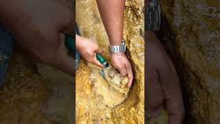 Crazy Hole😱😱‼️we got 10000 from this hole amazing gold discovery golddiscovery goldrush [upl. by Goldshlag405]