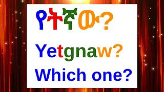 How To Say quotWhich Onequot In AmharicAmharic Phrases For BeginnersአማርኛእንግሊዝኛAmharic LessonAmharic [upl. by Huppert274]