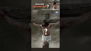 Why was there blood when Jesus died jesuschirst youtubeshorts ytshorts yt viralvideo trending [upl. by Akeenahs954]