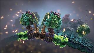 BioVisions Powering the Cell Mitochondria Short Official Version [upl. by Ived92]