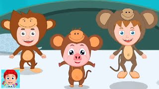 Cinq Petits Singes Numéro Chanson et Vidéos Apprentissage en Français [upl. by Einwahs401]