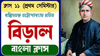 Class 11 biral prabandha  একাদশ শ্রেণী বিড়াল প্রবন্ধ  biral class 11  বিড়াল একাদশ শ্রেণী [upl. by Thema]