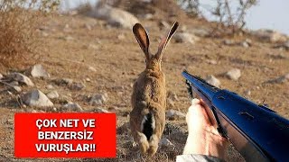 EN GÜZEL TAVŞAN VE KEKLİK AVLARI 20232024 SEZONU FULL HARE HUNTİNG ОХОТА НА КРОЛИКА صيد الأرانب [upl. by Esmaria]