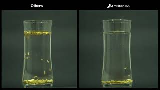 Amistar Top Rice TEST [upl. by Randall]