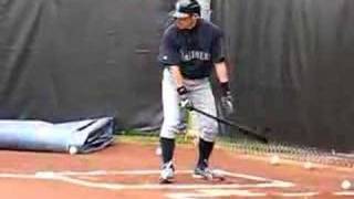 Ichiro Suzuki bunting [upl. by Anhaj705]