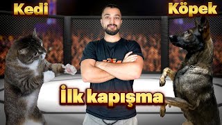 KÖPEK VE KEDİ  İLK TANIŞMA [upl. by Enialb]