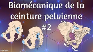 Biomécanique de la ceinture pelvienne 2  Nutation amp Contrenutation [upl. by Ozzie]