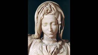 ▶ Salve Regina Hail Holy Queen [upl. by Rettuc268]