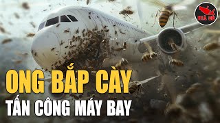 Ong Bắp Cày Hạ Gục Chiếc Boeing Hàng Trăm Triệu Đô Chỉ Trong 5 Phút Chuyến Bay Birgenair Flight 301 [upl. by Innep]