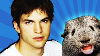 ASHTON KUTCHER DUMPSTER DIVES [upl. by Lednyk]