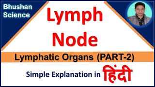 Lymph node Lymphatic Organ  Lymphatic System  in Hindi  Bhushan Science [upl. by Eceirehs]