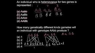 What is the difference between homozygous and heterozygous [upl. by Ressan]