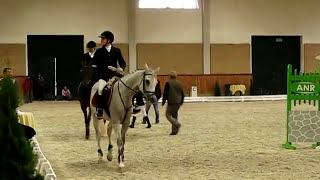 Potęga skoku w damskim siodle  Sidesaddle jump in Janow Podlaski [upl. by Ellenehc]