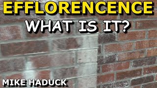 efflorescence what is it Mike Haduck commentary [upl. by Bethel]