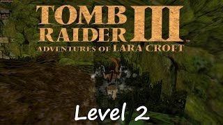 Tomb Raider 3 Walkthrough  Level 2 Temple Ruins [upl. by Destinee]