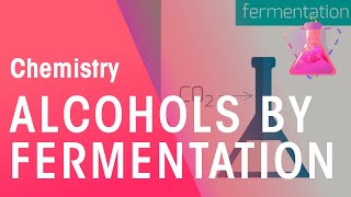 Making Alcohols By Fermentation amp From Ethane  Organic Chemistry  Chemistry  FuseSchool [upl. by Turtle158]