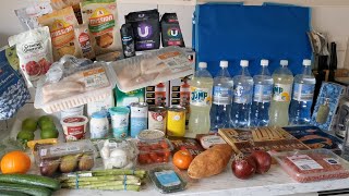 Weekly Grocery Haul  Aldi amp Coles  Meal Plan [upl. by Stefanac]