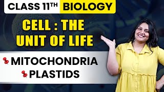 Class 11 Biology  Cell  The Unit of Life  Mitochondria  Plastids  NCERT Ch 8  Shivangi Maam [upl. by Naesed]